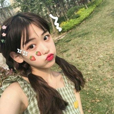 入侵者